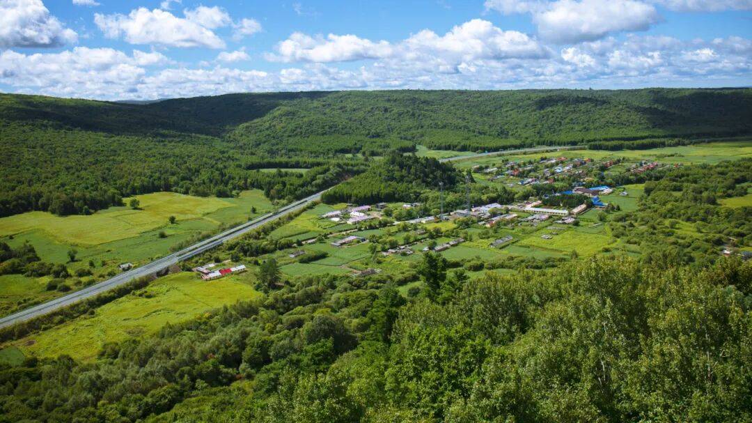 【回眸十四五·森工答卷】龙江森工集团：加快营林市场化步伐 绘就绿色发展新图景