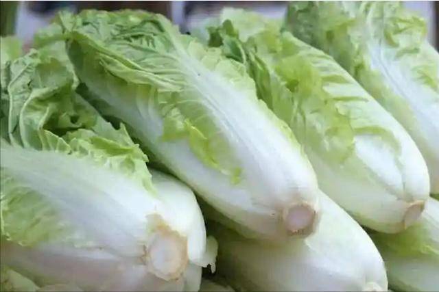 白菜大批量上市，告诫：万不可与这“4样”食物同食，要了解清楚