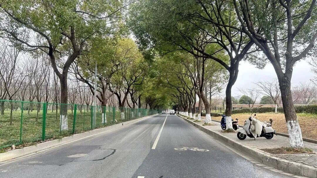 九亭镇2026年民生实事项目日前出炉涵盖老旧小区改造、卫生院新建、道路中修……