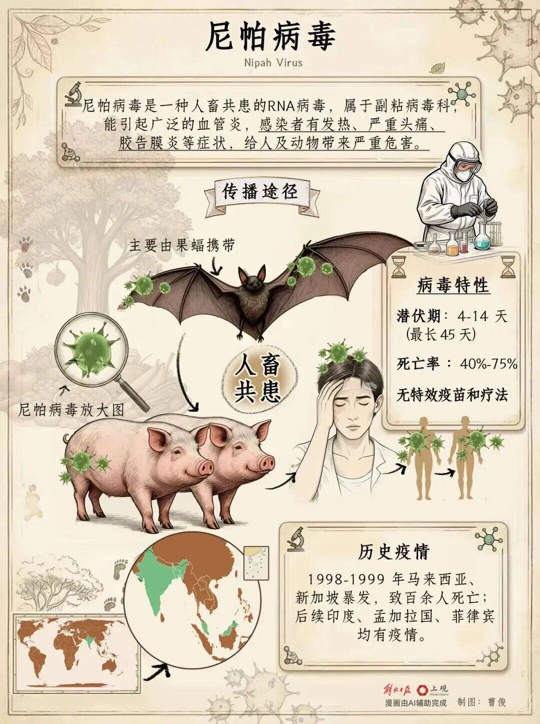 国家疾控局：我国尚未发现尼帕病毒病病例，疫情对我国产生的影响相对较小