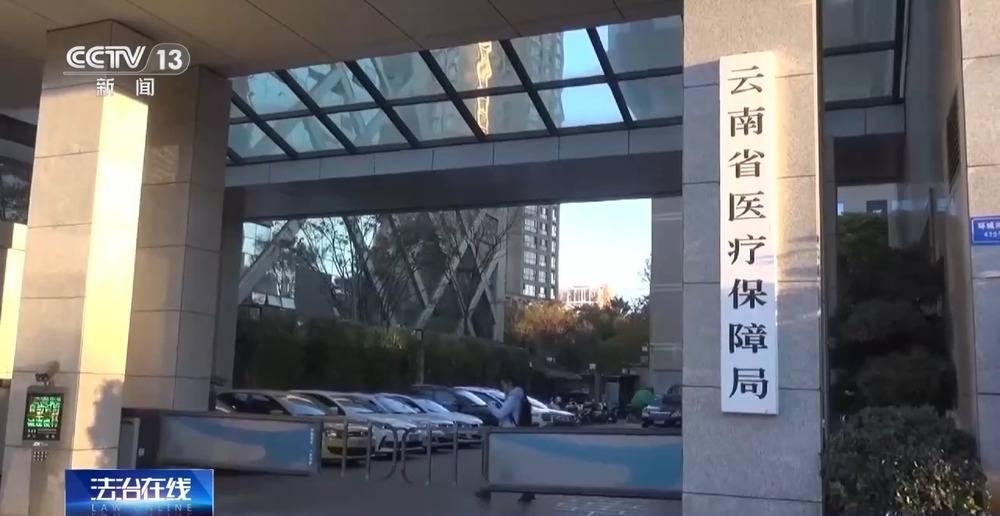 法治在线丨一公司15名员工13人生育 起底全链条造假骗取生育津贴大案