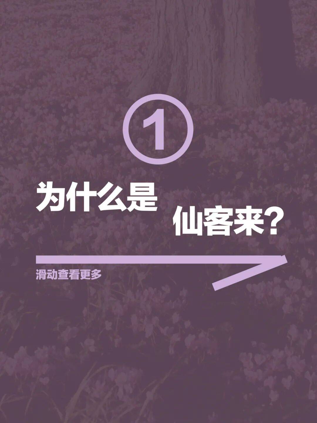 Jonathan_Anderson在DIOR的高级订制首秀，玩出了什么“花样”？