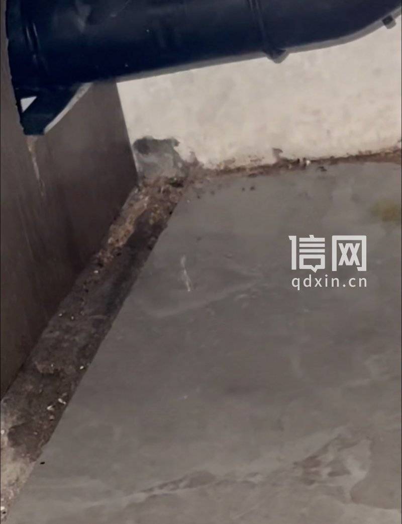 海信洗衣机首次用就漏水:改了管道不管用家具家电遭了殃(图2)