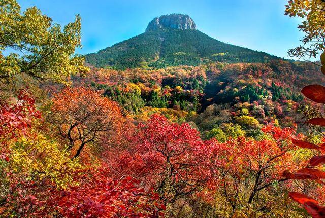 抱犊崮名称渊源考述_耕牛_君山_先民