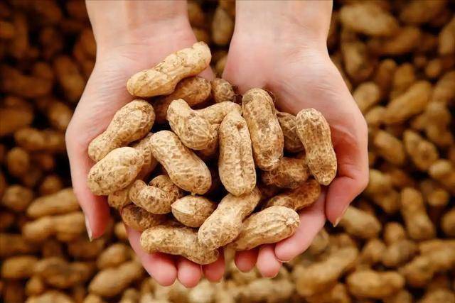 医生表示爱吃花生的人，糖尿病、冠心病死亡率，或比同龄人要低？