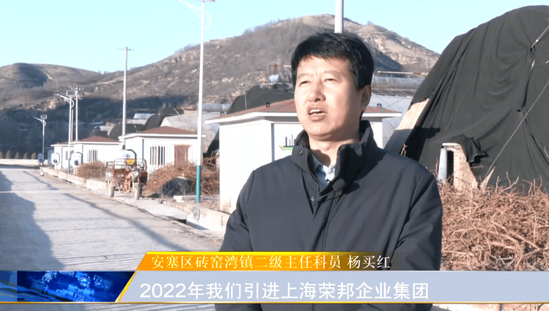 【回望“十四五” 安塞新跨越】暖棚映绿黄土坡 产业振兴绘新篇