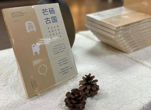 【象新书】芒砀古国：多元文明淬炼下的永城王庄遗址（任菲）