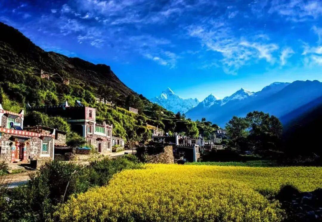 多宝体育- 多宝体育官网- APP下载美丽阿坝建设实践案例（第三期） 小金县长坪村美丽乡村实践案例