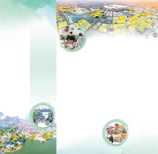 六百年水乡正青春_罗村_游客_罗宝芳