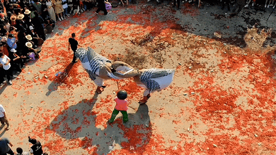 华体会- 华体会体育官网- 体育APP下载新春小众漫游 感受浓厚年味澄海还能这样玩