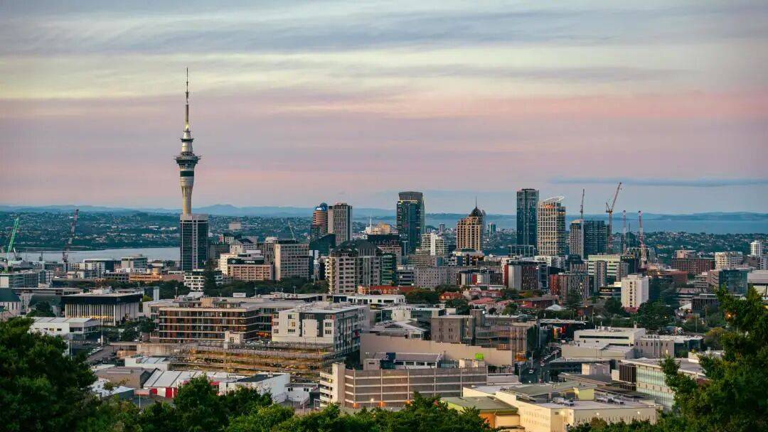 乐鱼体育- 乐鱼体育官网- APP世界杯指定平台【