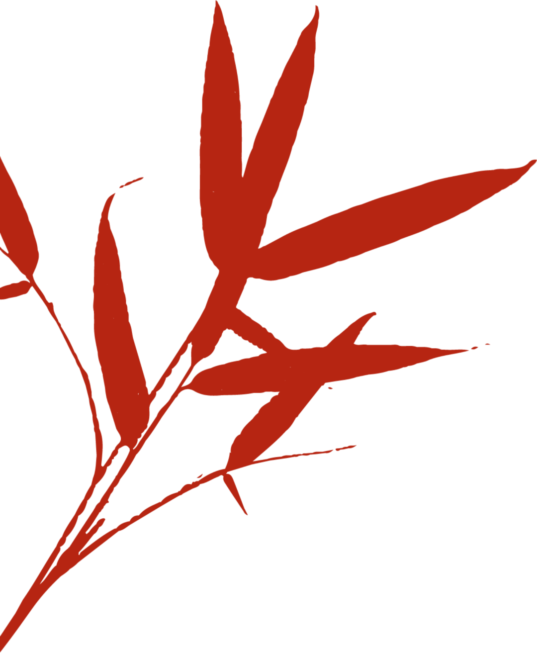 尊龙凯时- 尊龙凯时官方网站- APP下载【和美乡村】移风易俗系列报道（7）辛集市和睦井乡：以移风易俗“小切口” 助力乡村振兴“大文明”