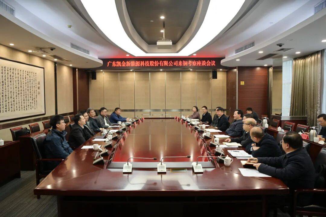 穆嵘坤与广东凯金新能源科技股份有限公司总裁仰韻霖一行座谈_铜仁_发展_企业