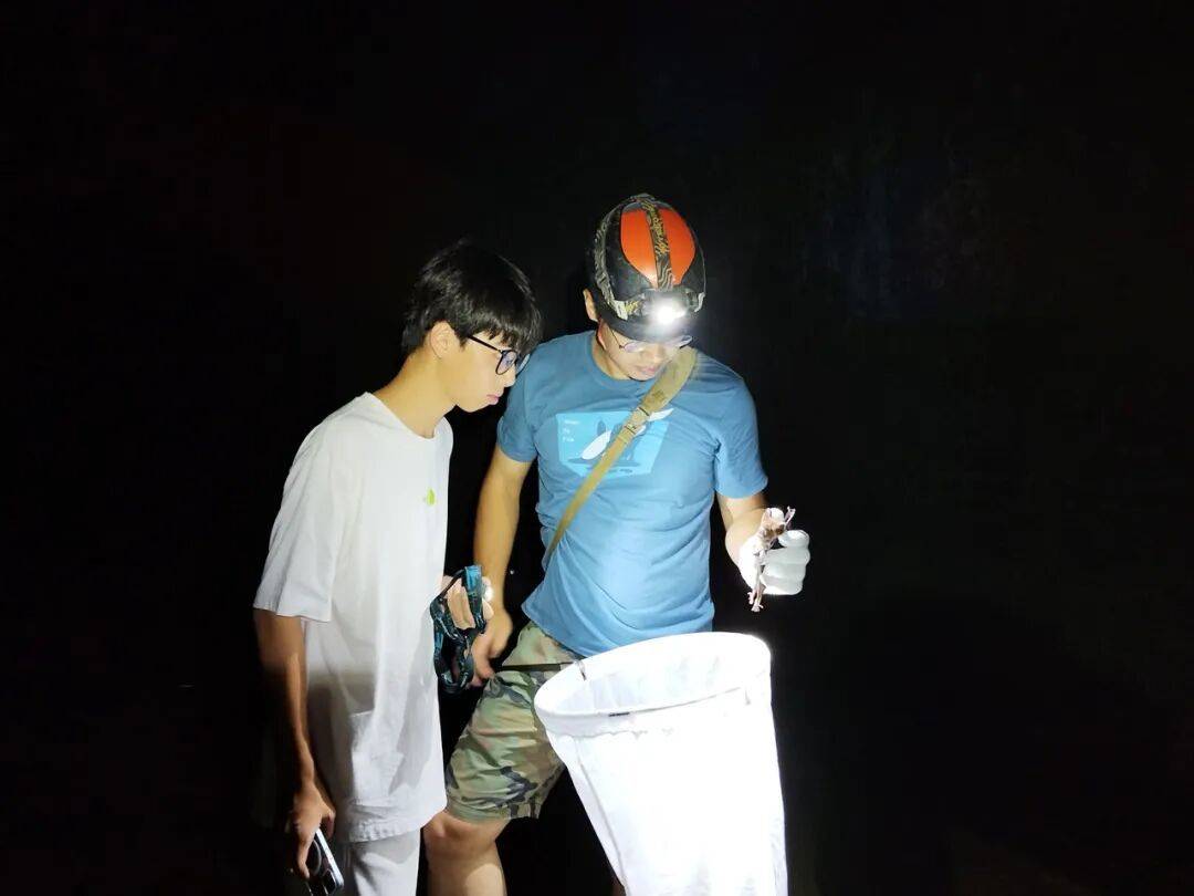 浙江17岁男生发现新物种“筷子蛇”！日行百公里，“刷山”40多夜：人生第一篇SCI