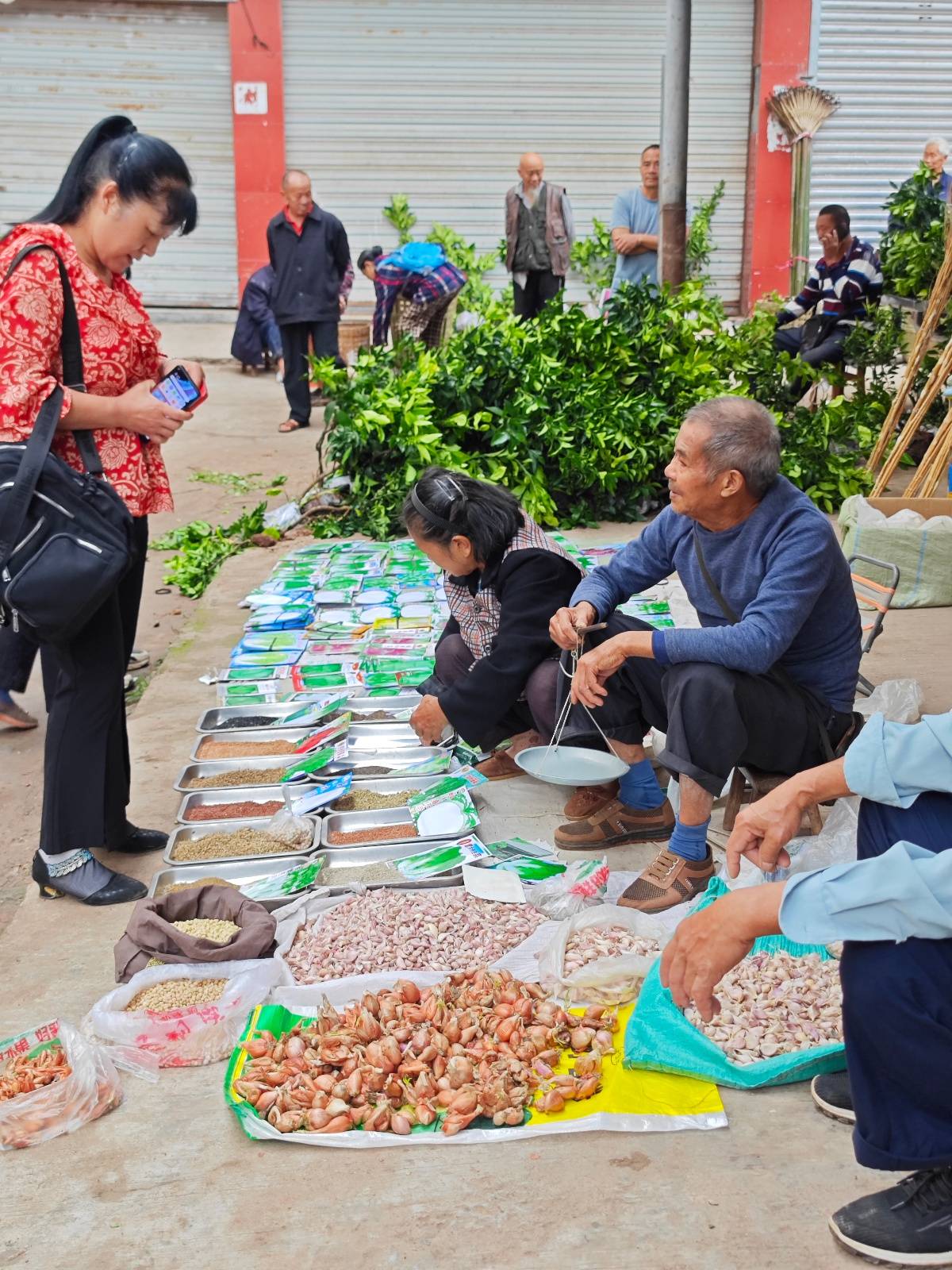 一个年轻人放弃铁饭碗回农村盖房种地：村民很热情说一句能聊十句