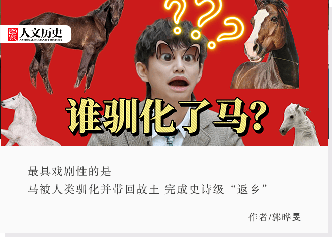 马想问：世界上最早想到驯化马的人，到底是谁？！_野马_草原_动物