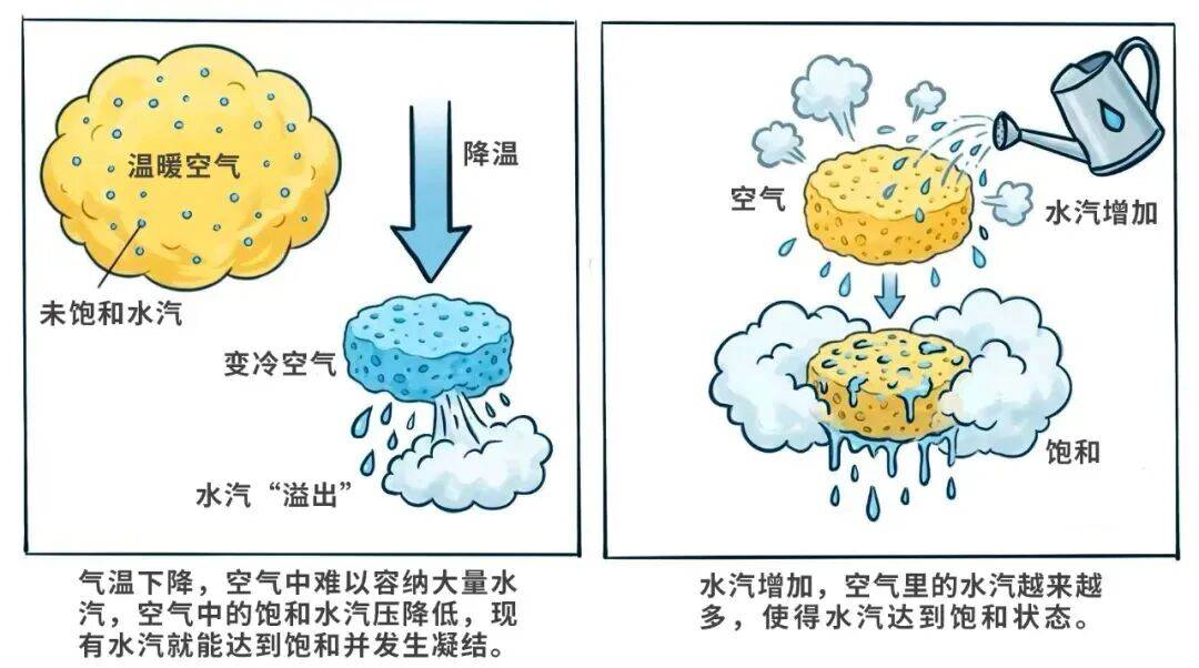 雾从何来?一文读懂“雾” 的成因与安全出行密码_水汽_空气_地表