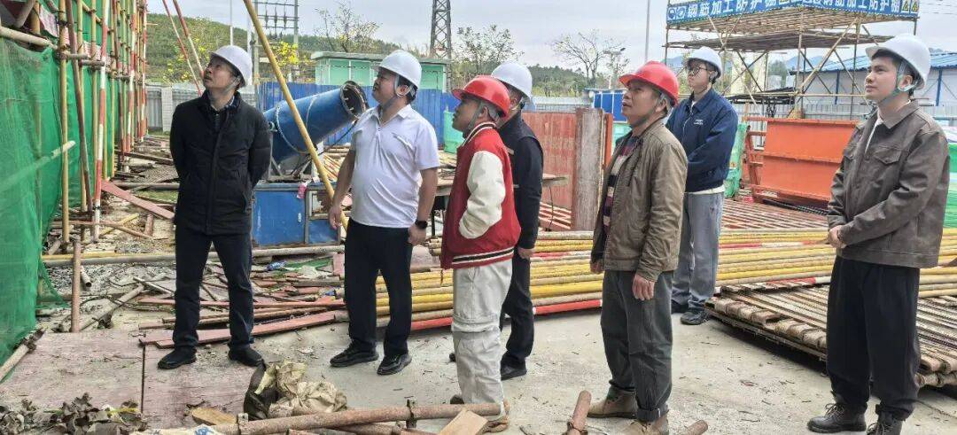 把好“安全关” ,按下“复工键”|南山镇开展在建项目节后复工复产专项检查及现场督导_建设_培训_生产