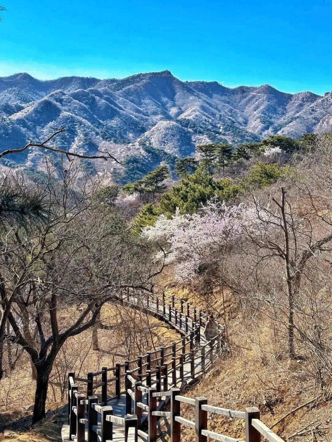 湖门环线亲子入门首选沿途登山赏花可远