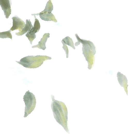 【锦江大讲堂】走近庄子——从寓言看庄子的人生境界