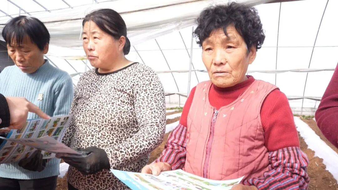 服务“三农”|气象服务进大棚 科普护航设施农业_灾害性_泽州县_生产