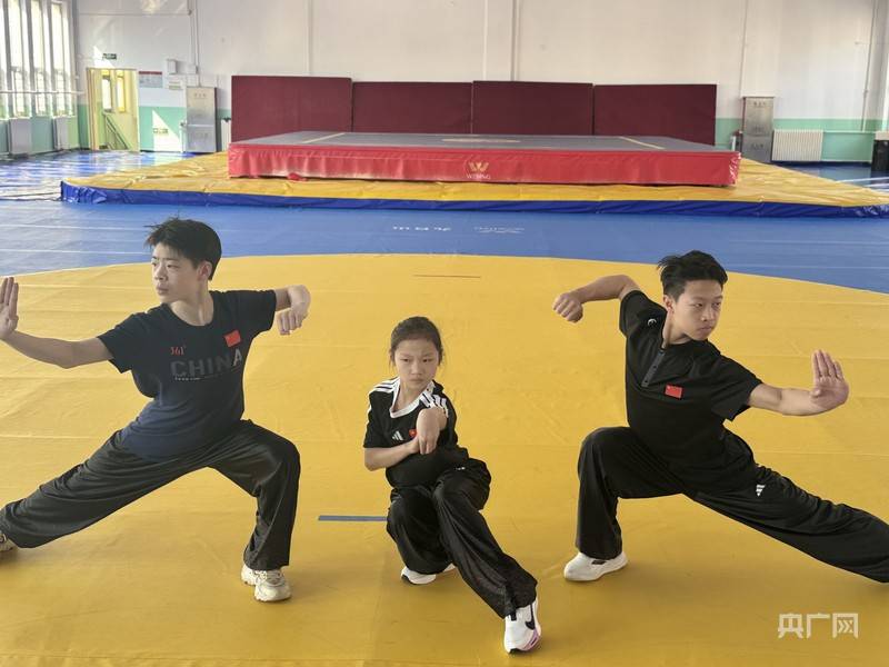 第十届世界青少年武术锦标赛筹备全面就绪