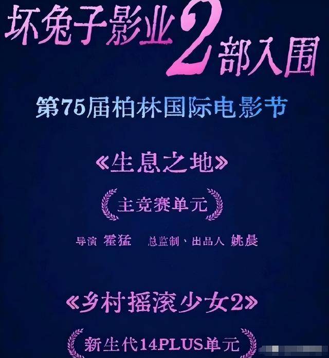 深扒姚晨的资产，布局多年，她的商业帝国，远比她离婚更让人惊讶