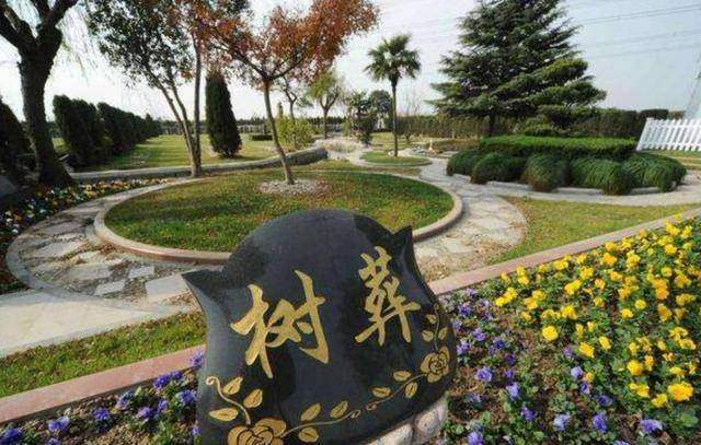 国家定调：3月30日起执行！老坟、祖坟、家族墓一律按这条办_殡葬_区域_墓地