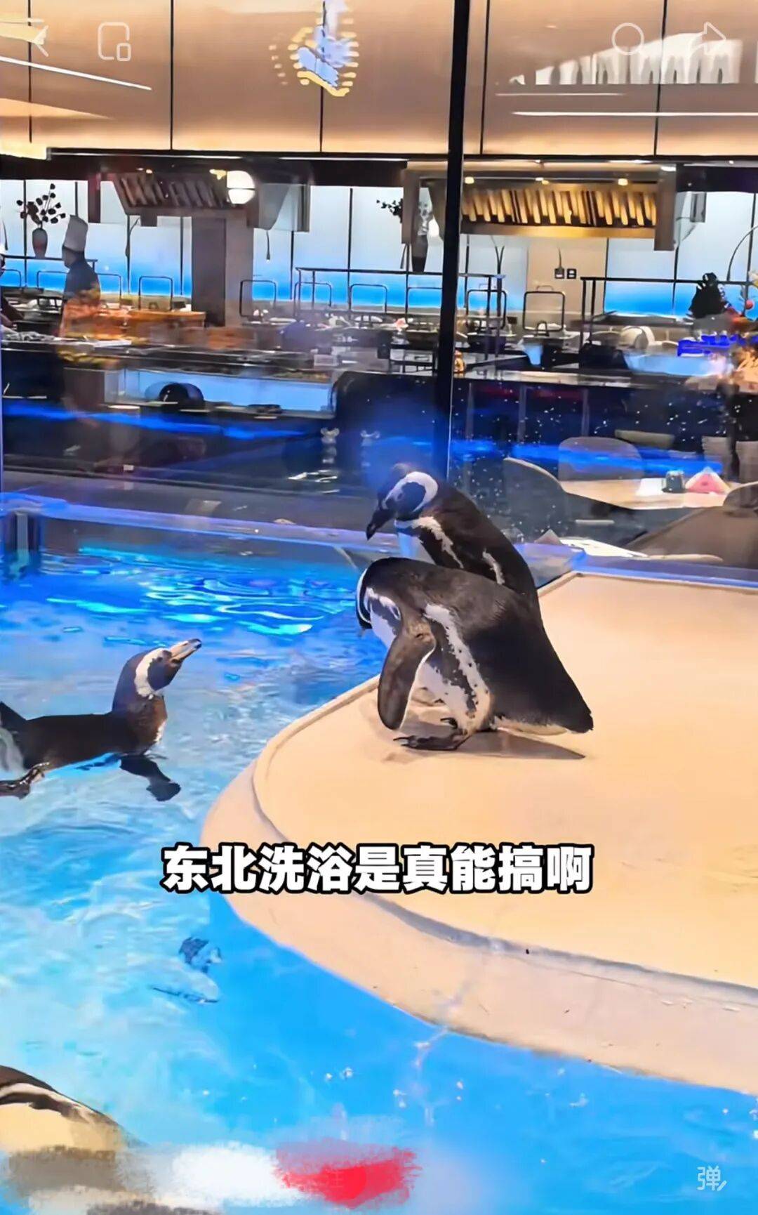 图片[6]-卷飞了的沈阳澡堂子，爆改好莱坞片场 -华闻时空