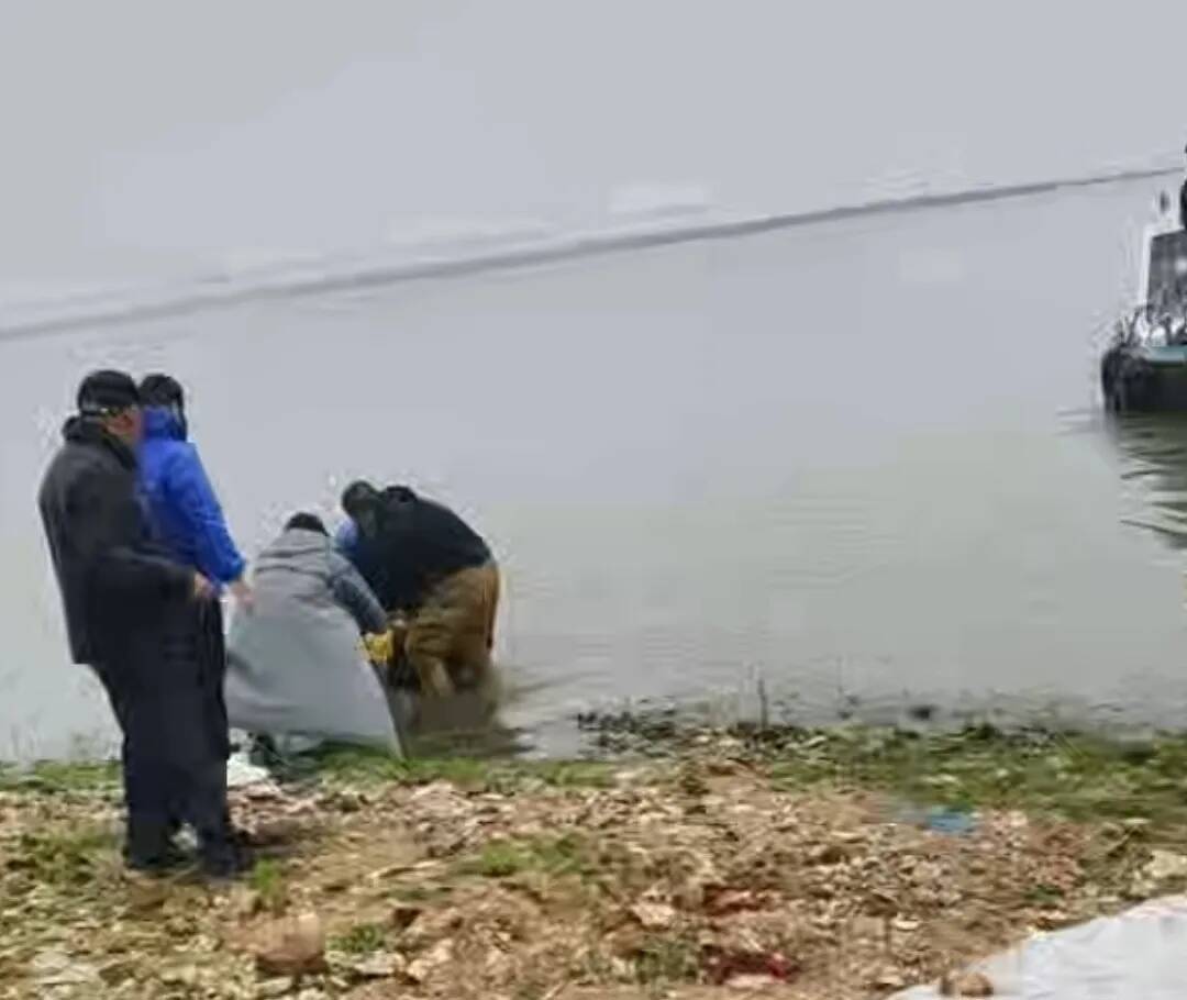 岳阳一女子到湖边采藜蒿失联4天后找到，救援人员：遗体在距离岸边10多米的位置漂浮出水面