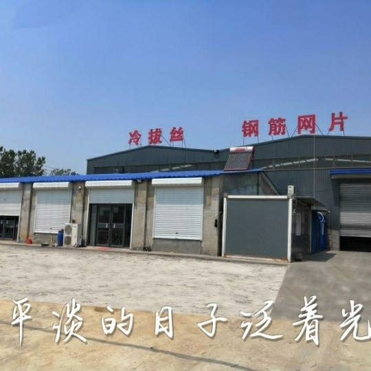 2026年巢湖钢筋网片生产厂家揭秘_齐宇_公司_服务