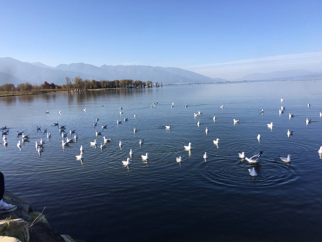 私家车与货车年检预约流程及预约入口科普_搜狐汽车_搜狐网