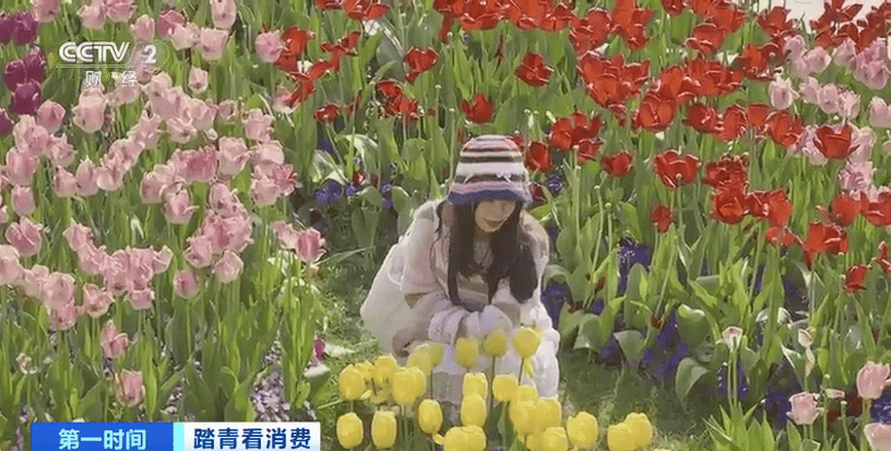 花卉展 上海