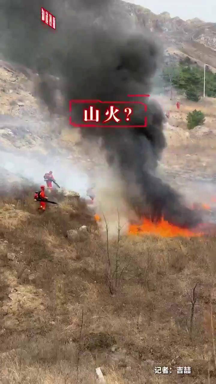视频|“以火攻火”,可燃物计划烧除变被动扑火为主动防火