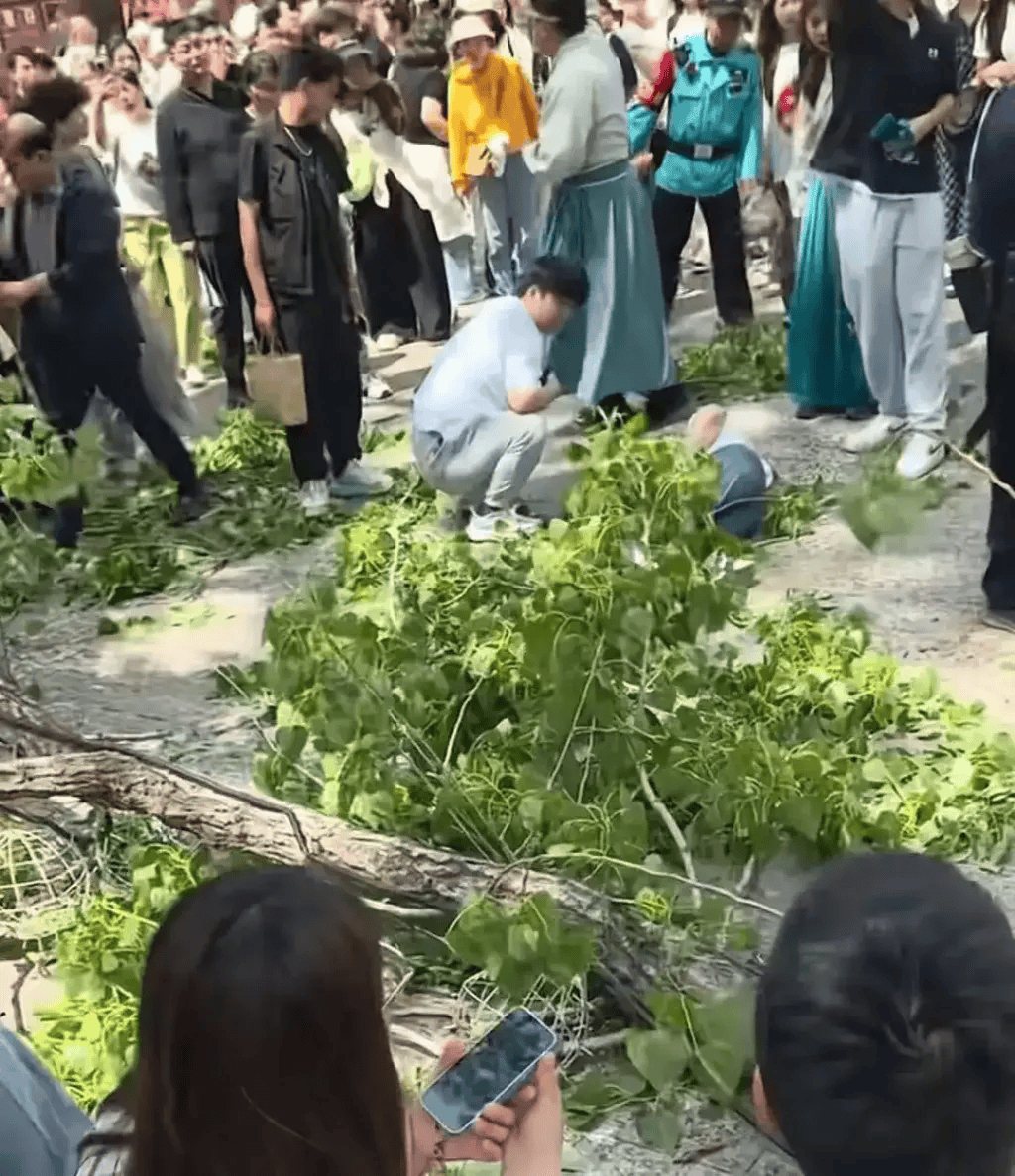 开封万岁山通报“树枝断裂致三名游客轻伤”：因突发大风引发_景区_保障_中门