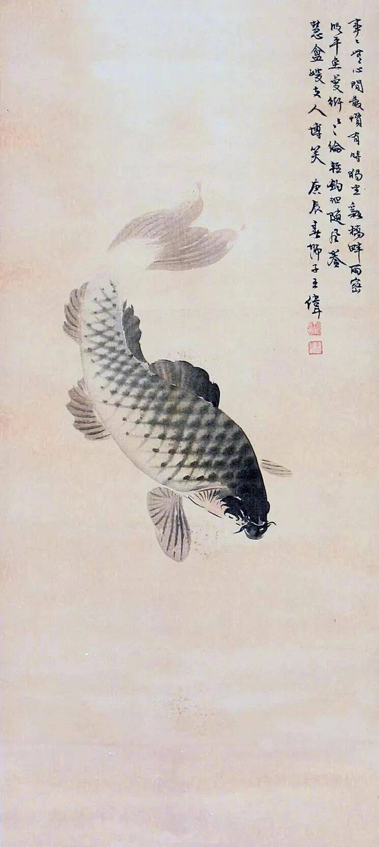 他画的鲤鱼，真肥！_王师子_师梅_响沫