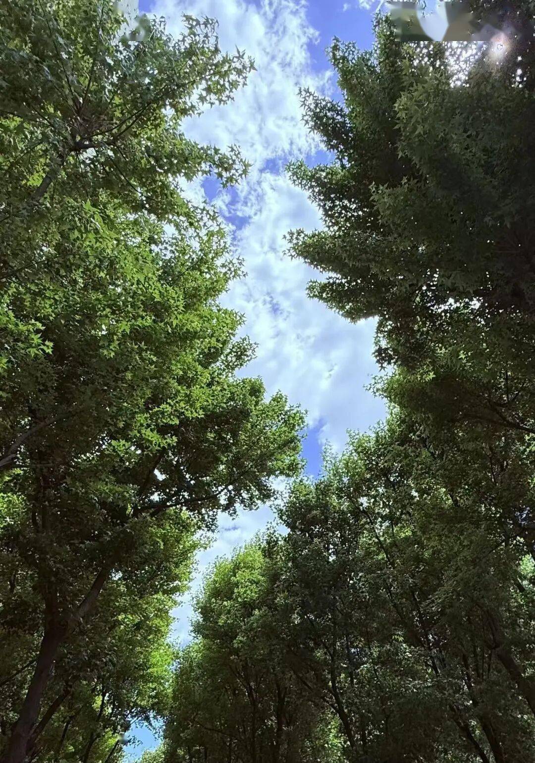 煽动躺平，该当何罪
