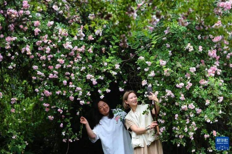 “年轻人出门越来越极简了”,你也有同感吗?_服务_旅行_人们