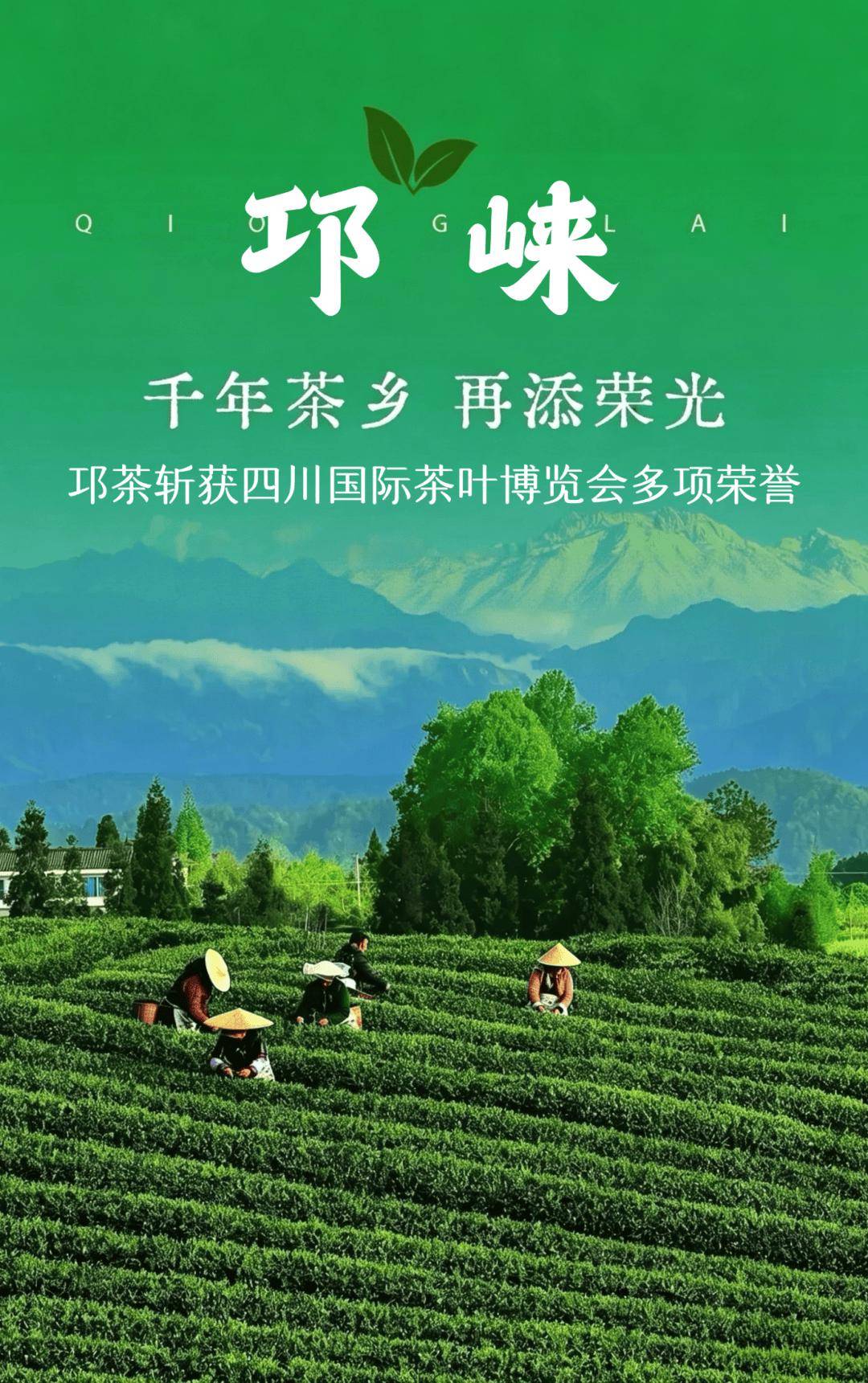 喜报！“四茶”摘金，千年邛茶，再绽风华！
