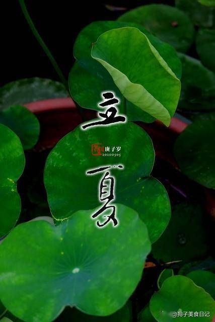 立夏后，牛羊肉靠边站，3种肉换着吃，润肺健脾，一夏不咳嗽