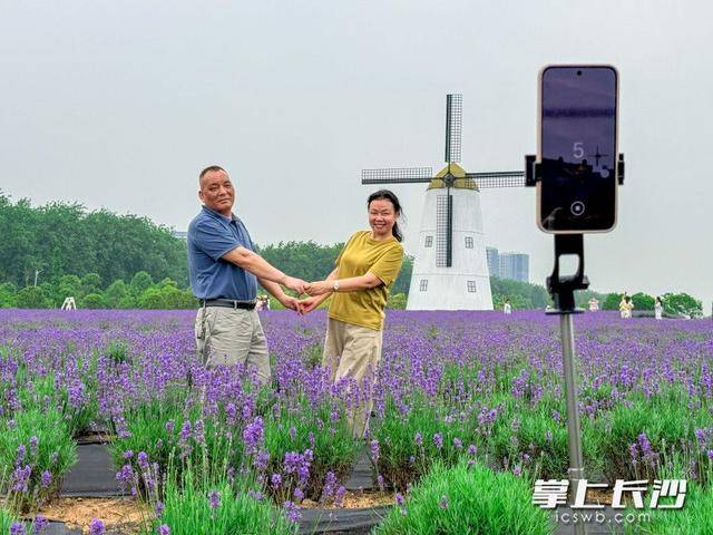 长沙版“普罗旺斯”来了！28万平米紫色花海等你打卡丨组图