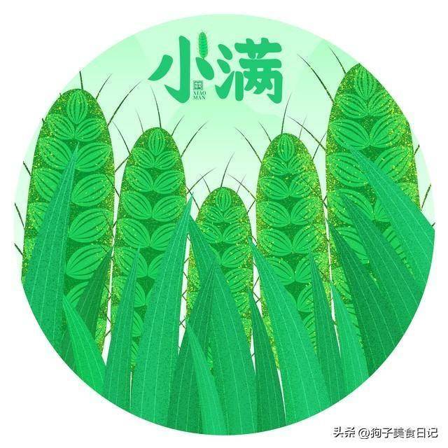 “小满五个一，健康不劳医”，21号小满，多吃这5种，安康过夏天