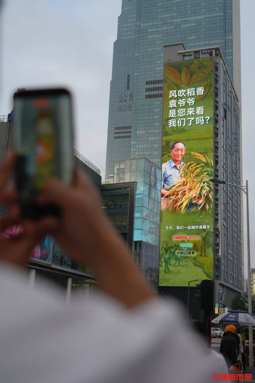 长沙街头长满了对袁爷爷的思念