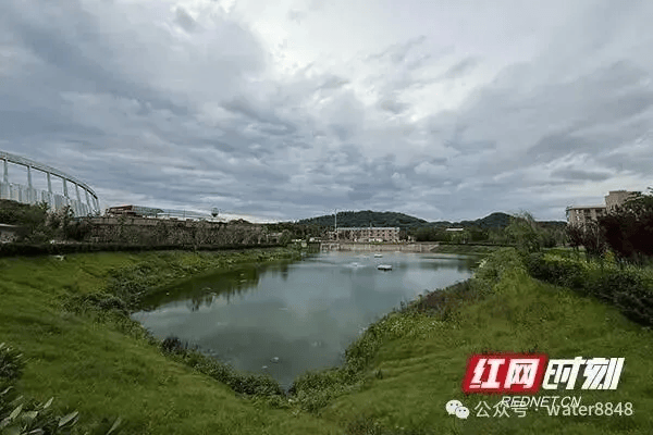 文章配图-15