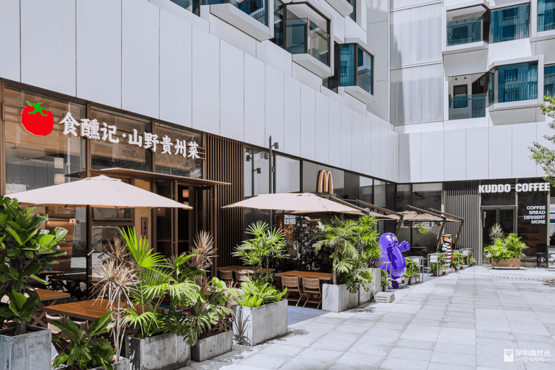 文章配图-2