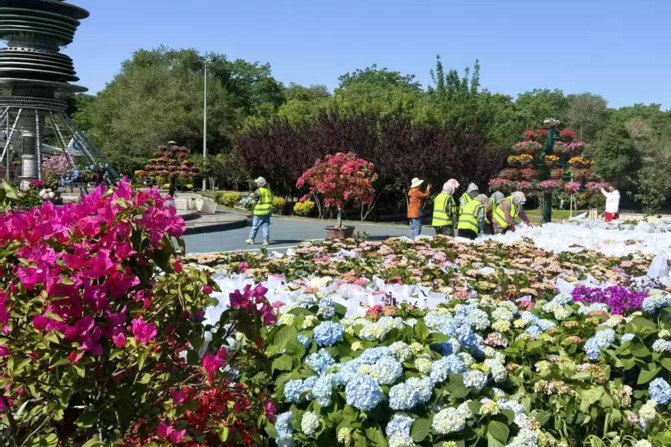哈尔滨市香坊区第二届百花展5月30日启幕_劳动公园_繁花_彩灯