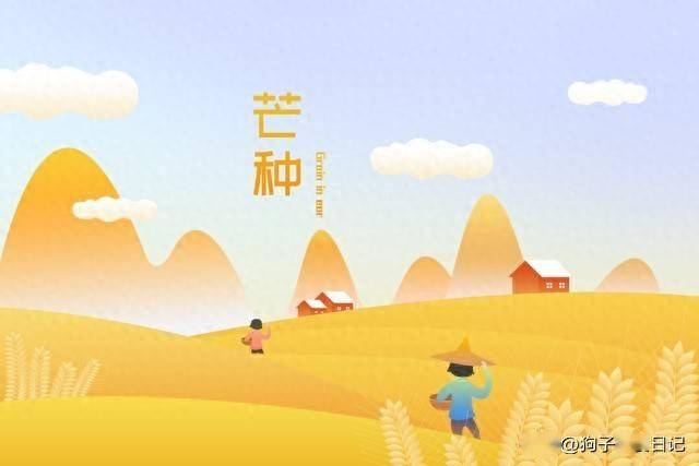 “芒种一碗汤，不用医生帮”，5号芒种，这一汤指啥？早知早受益