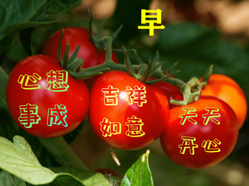 文章配图-1