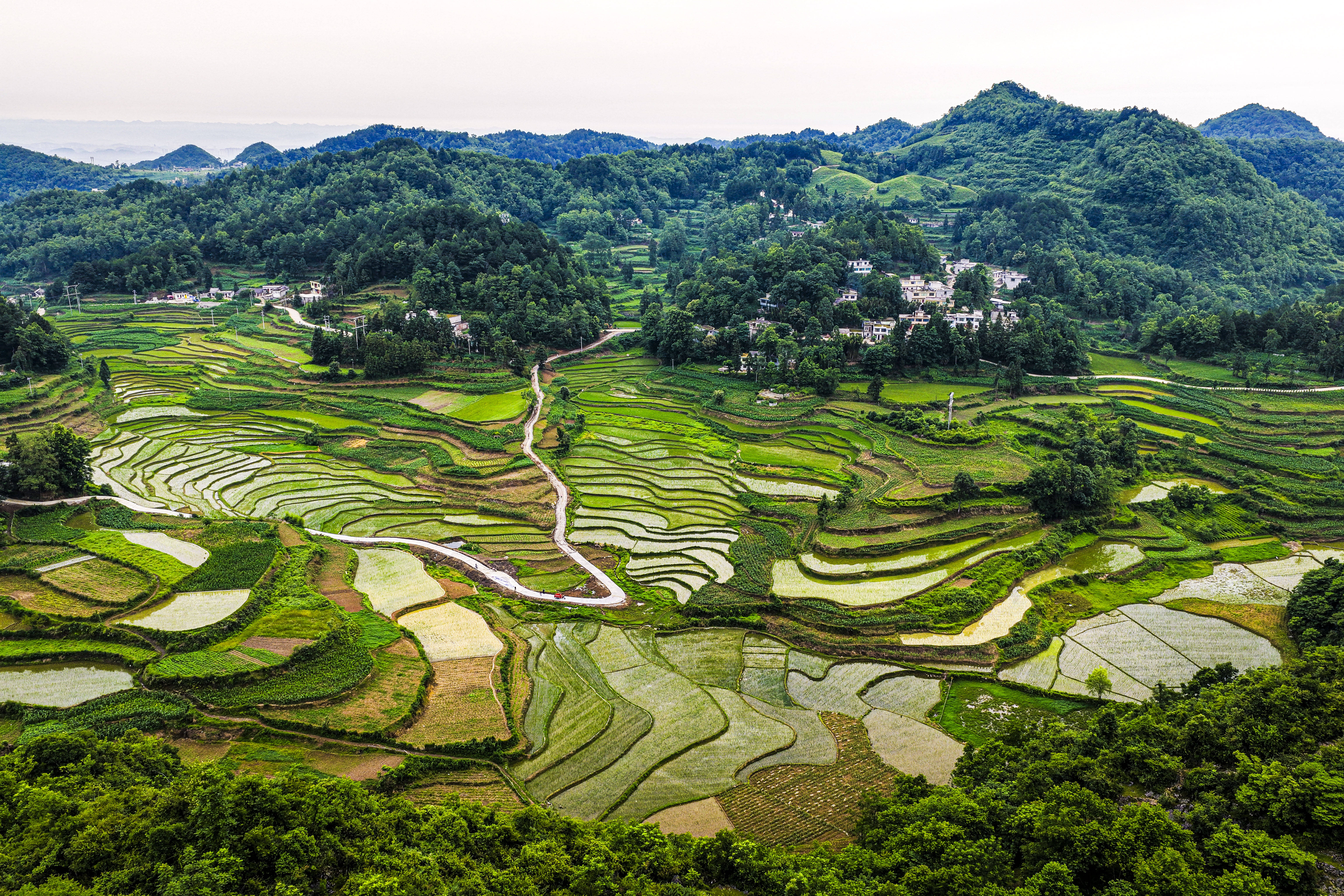 文章配图-1