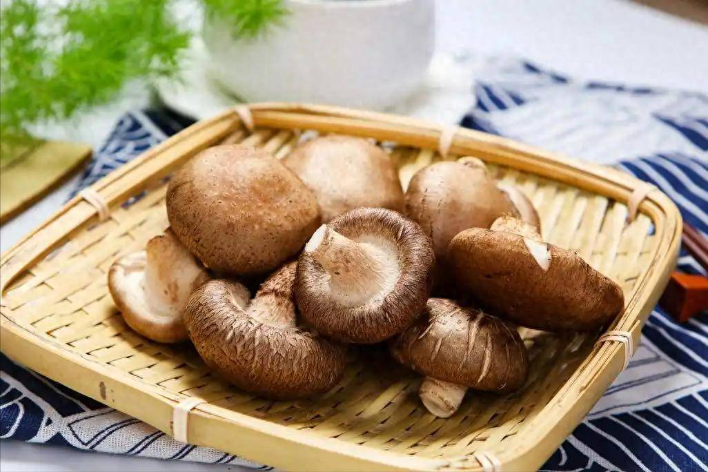 原创            香菇再次被关注！医生发现：癌症患者吃香菇，不过多久或有3变化